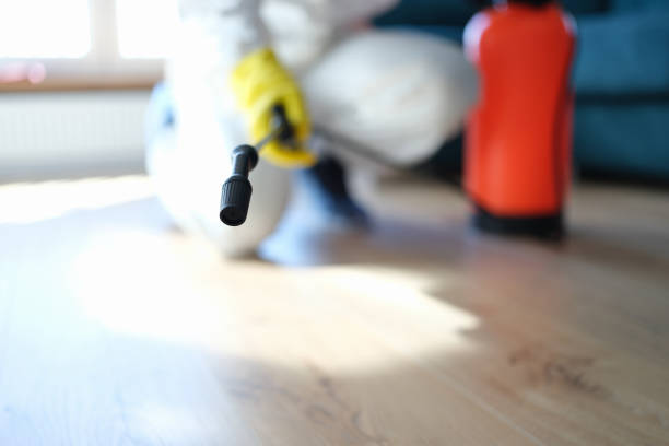 Marshall, MN Mold Removal Company