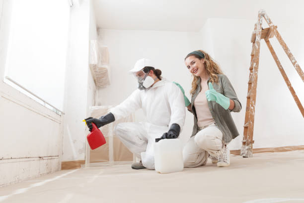 Best Residential Mold Inspection & Testing  in Marshall, MN